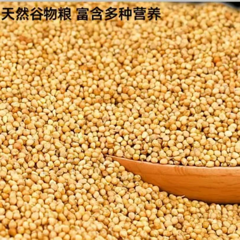 鹦鹉鸟粮黄谷子虎皮鹦鹉饲料带壳小米鸟粮