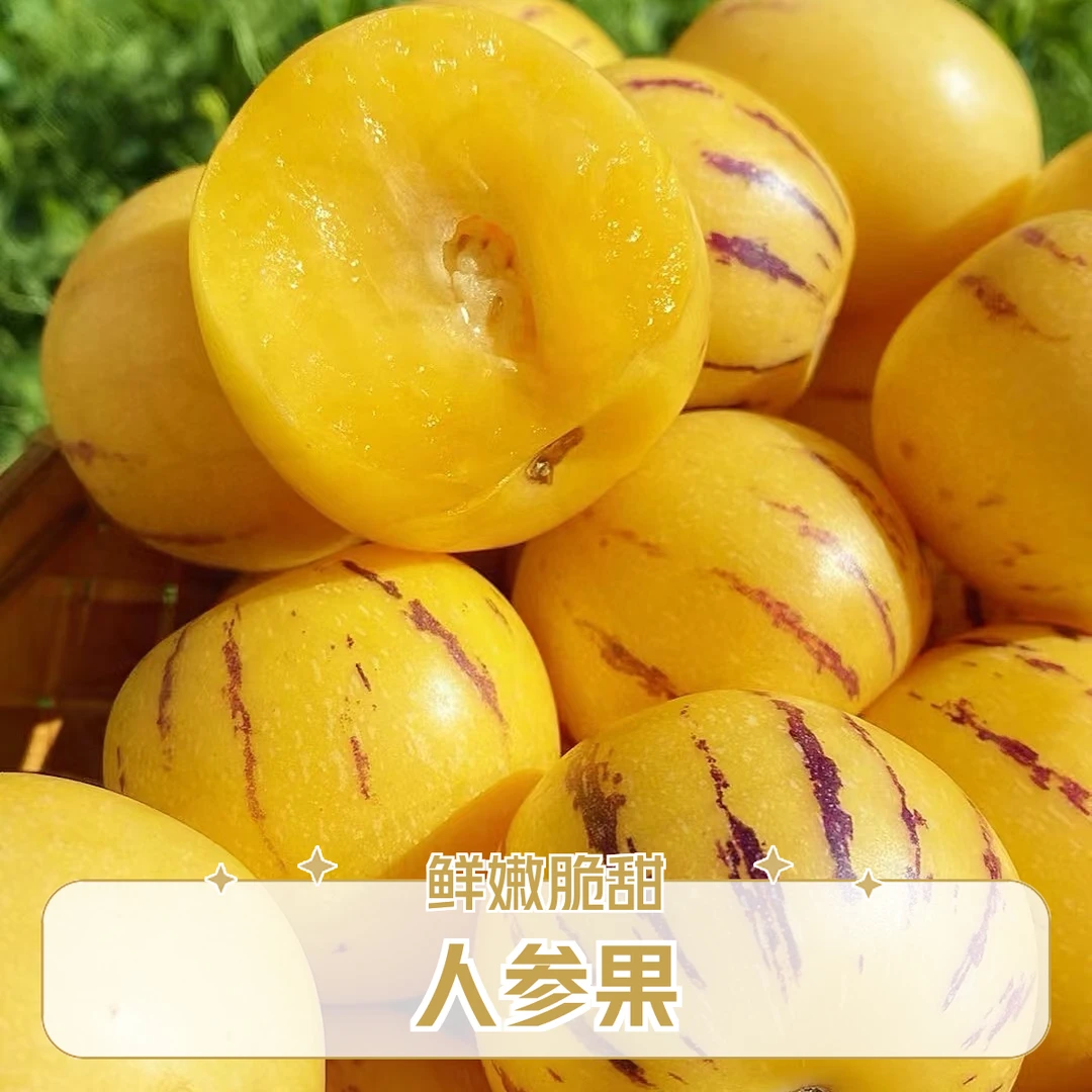 树熟人参果2盒18颗