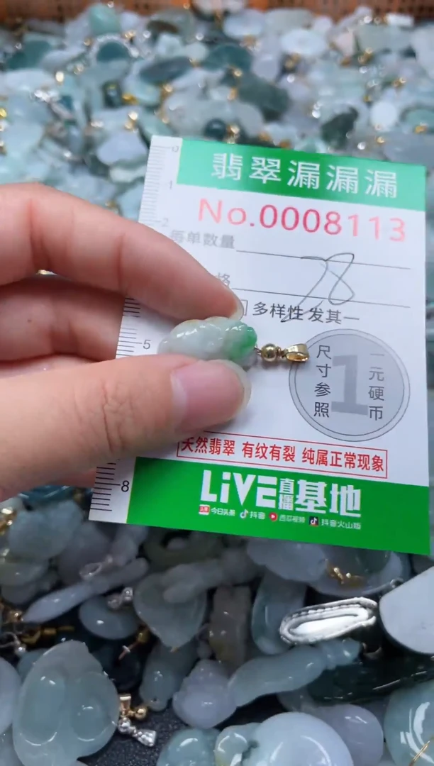 颈饰未镶嵌翡翠8113