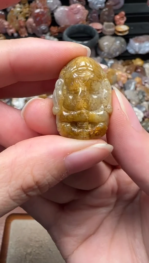 颈饰未镶嵌硅化珊瑚（珊瑚玉）754