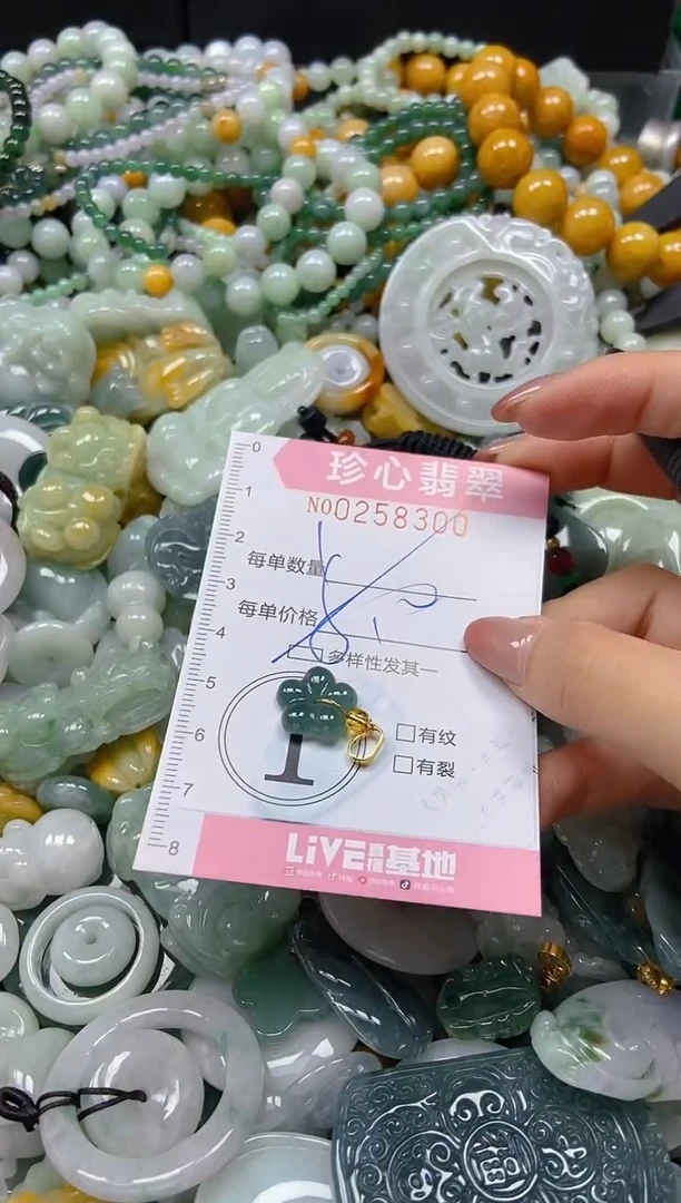 翡翠未镶嵌颈饰闪购0258300多样性发其一