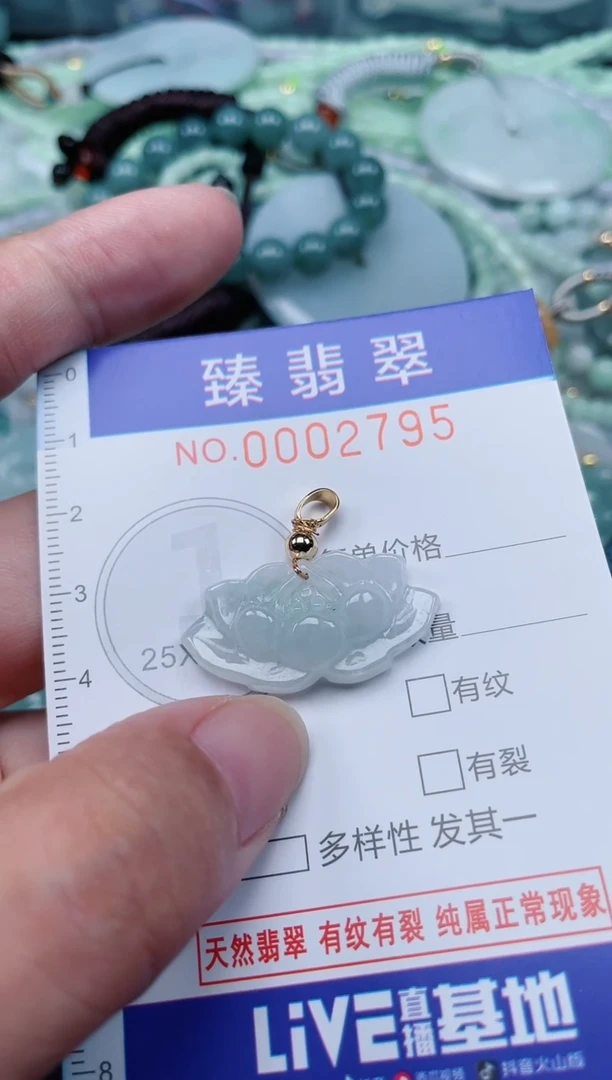 翡翠未镶嵌颈饰.0002795