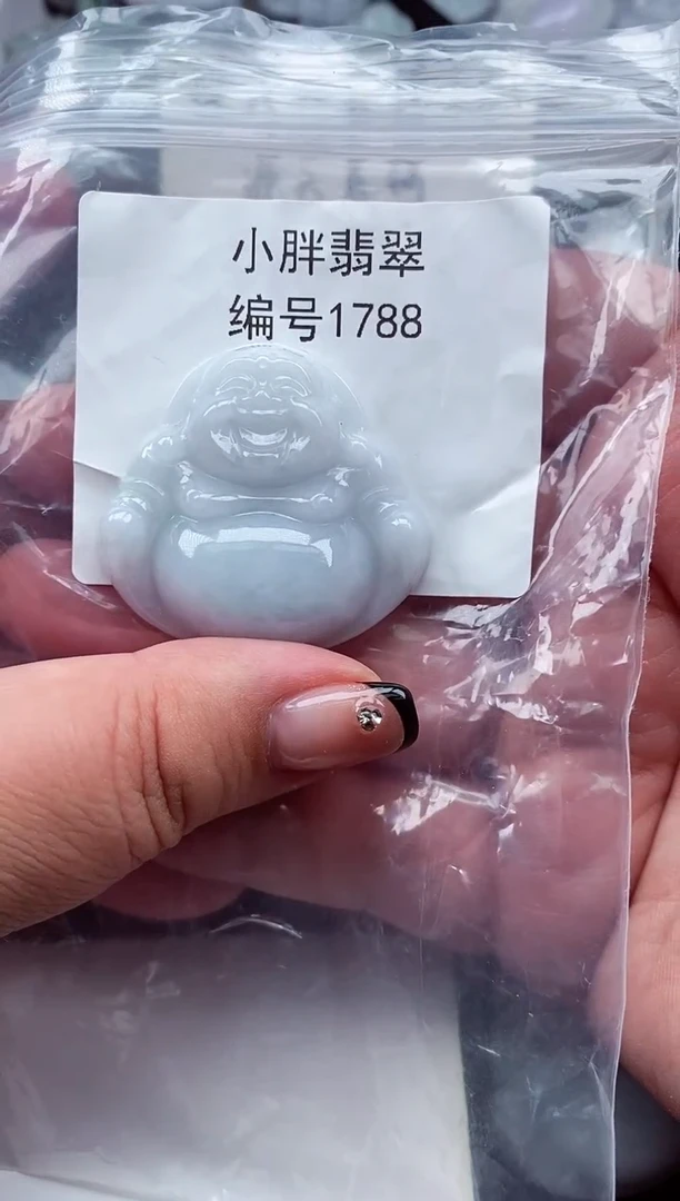 颈饰未镶嵌翡翠缅甸天然A货翡翠1788