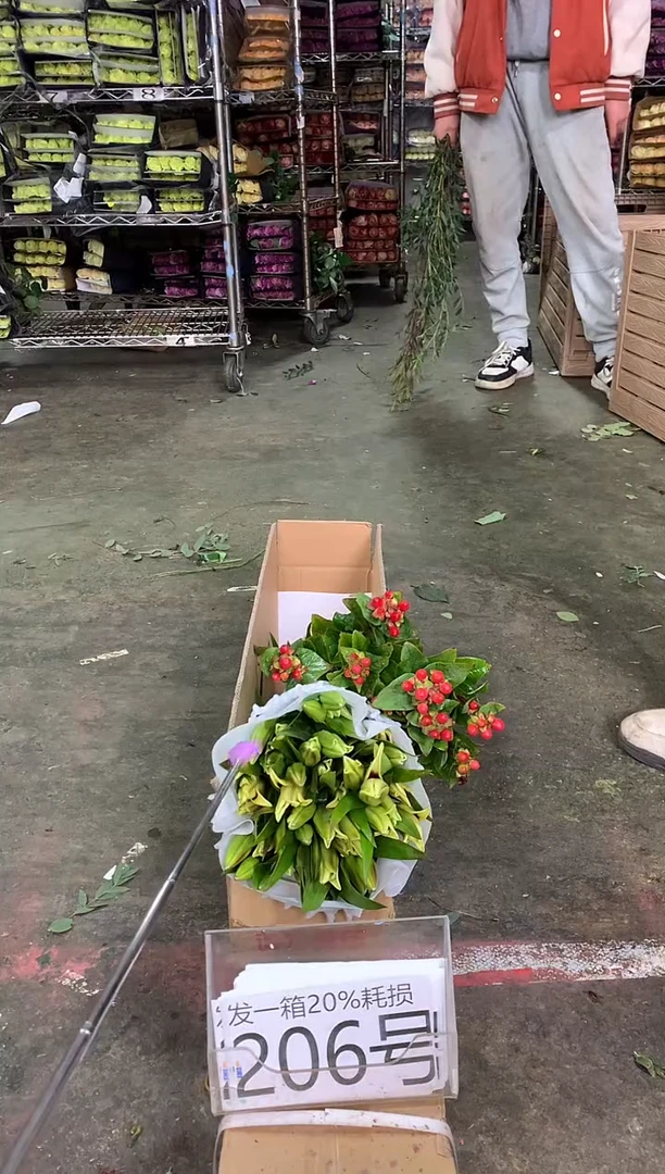 206号♥中通含20%耗损发一箱鲜花