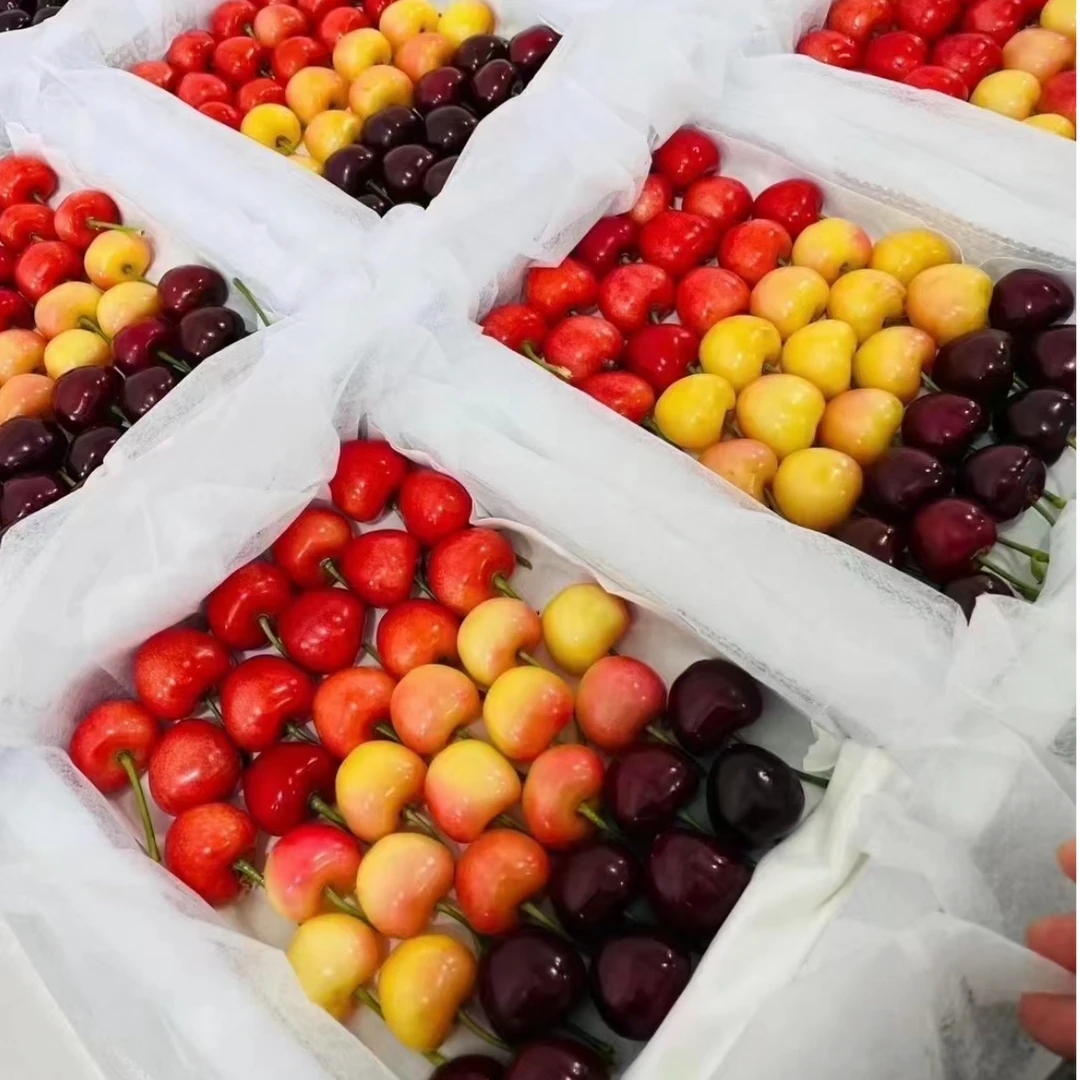 【三拼】大连美国红+俄八+萨米脱樱桃顺丰包邮空运3-5斤现摘现