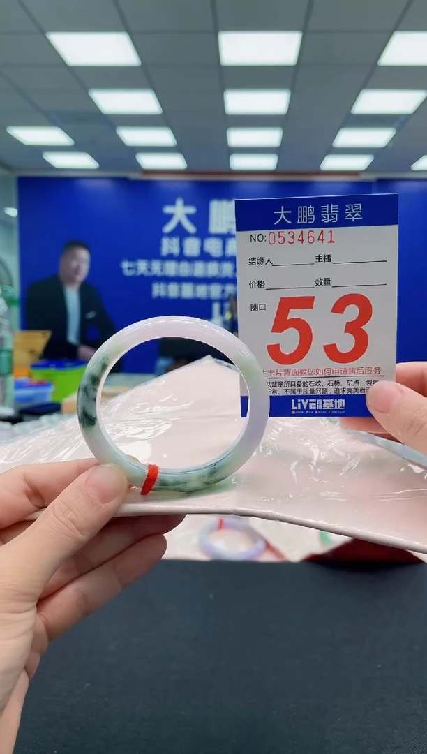 未镶嵌手镯翡翠AAAAAAAAA