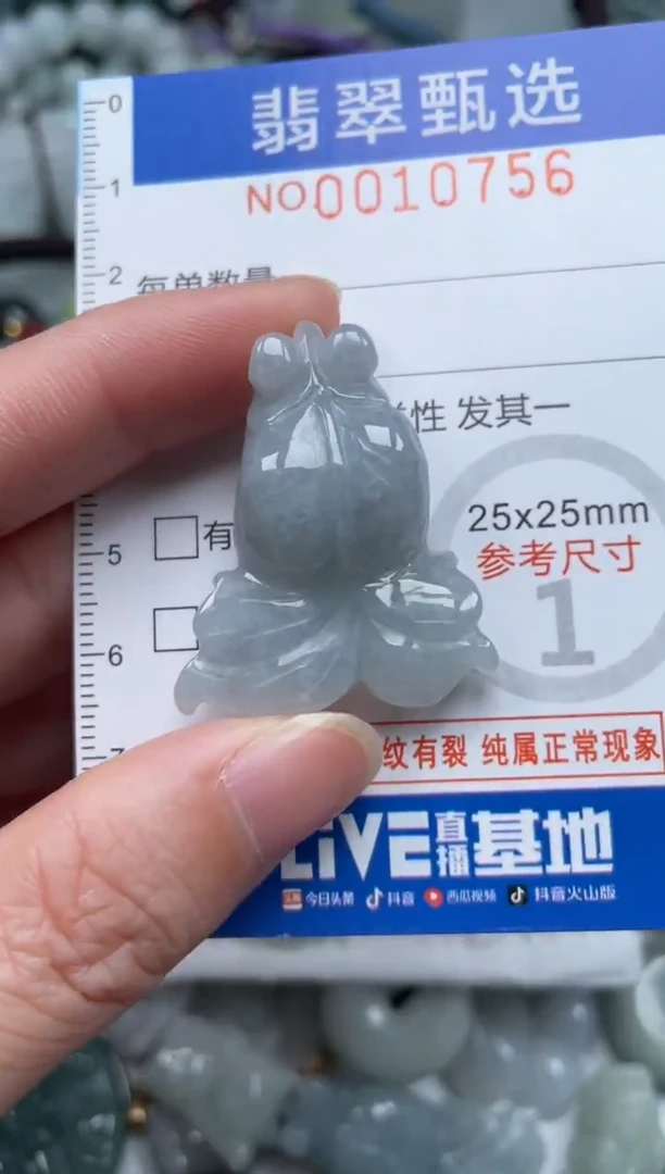 颈饰未镶嵌翡翠10756