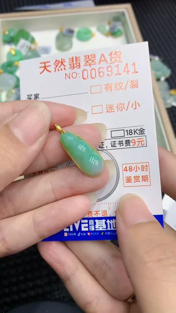 【闪购商品】翡翠颈饰18K金镶嵌            8