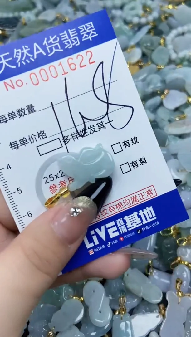 【闪购商品】翡翠颈饰未镶嵌天然A货翡翠