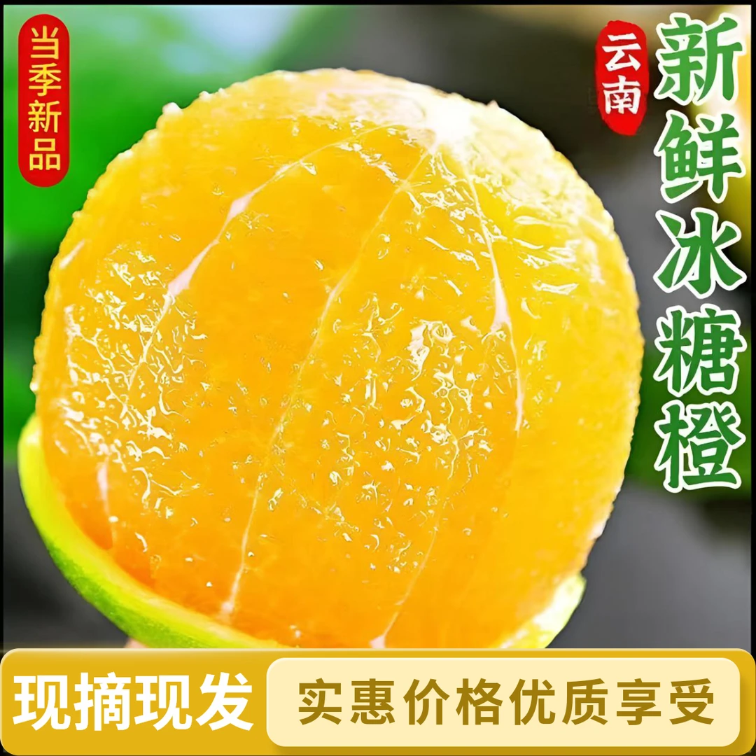 云南哀牢山青皮冰糖橙新鲜应季现摘现发皮薄多汁清甜可口