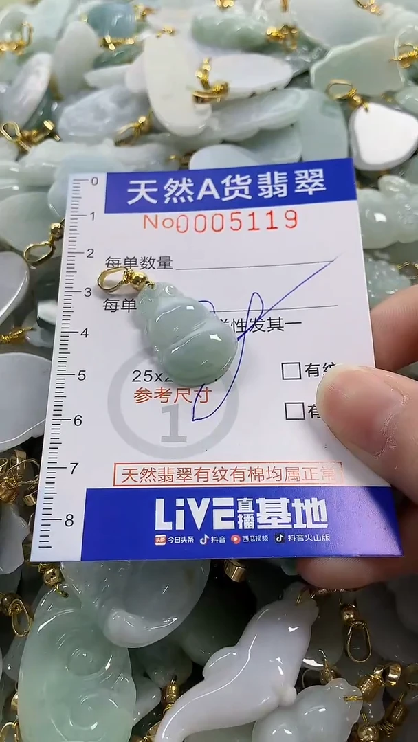 颈饰未镶嵌翡翠纯天然货翡翠