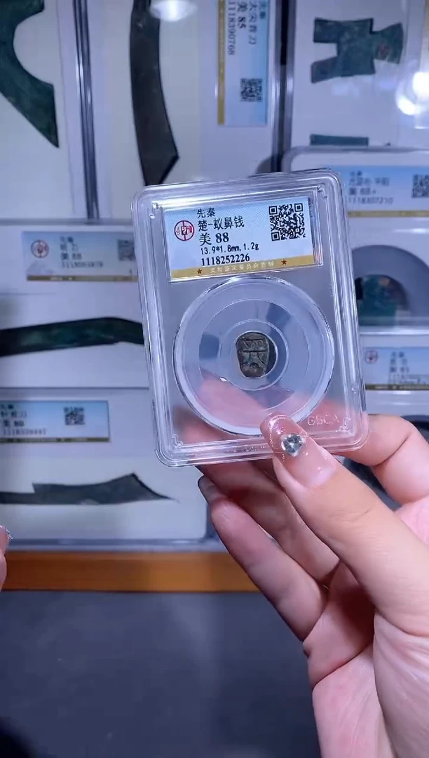 【闪购商品】铜品泉收藏     蚁鼻钱