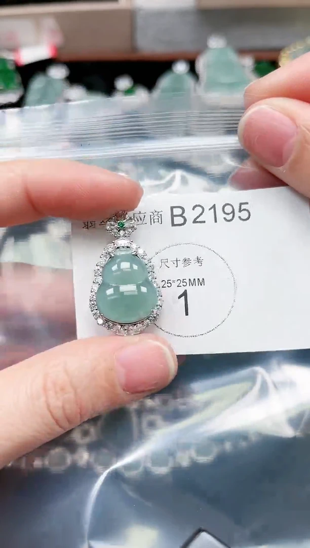 【闪购商品】翡翠颈饰未镶嵌赠皮绳2195