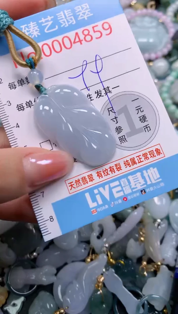 颈饰未镶嵌翡翠4859