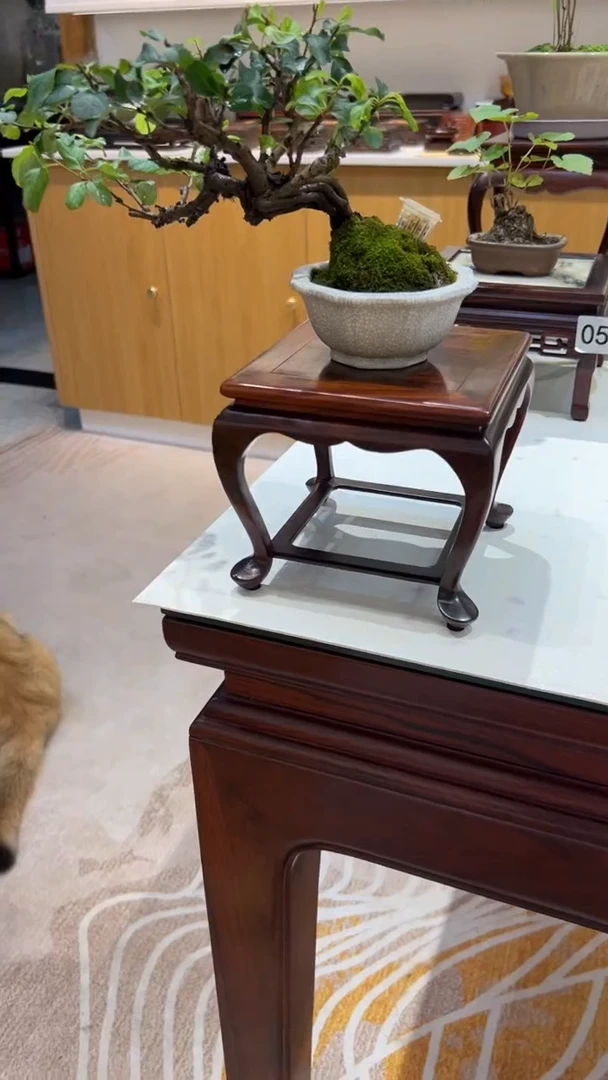 紫砂1紫砂紫砂紫砂紫砂紫砂底座