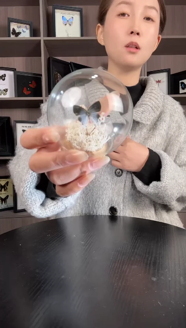 实木竖款长尾珍灰蝶（蝴蝶玻璃球框）