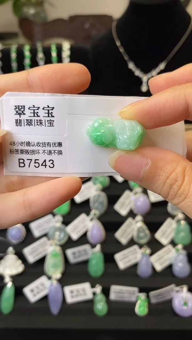 颈饰未镶嵌翡翠B7543 貔貅 含运营费