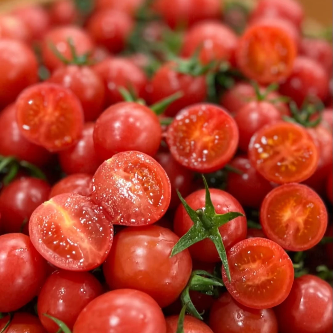 我最爱的易烊千禧果500g千禧圣女果