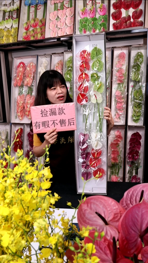 103混色迷你掌20支(15-20cm，横冠幅6cm)微瑕无售后慎拍！