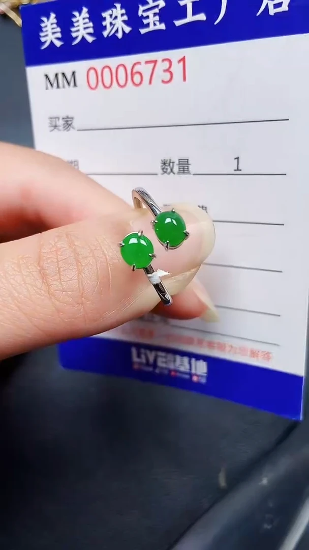 翡翠银S925镶嵌颈饰6731