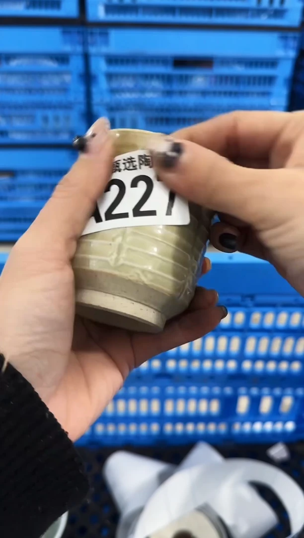 瓷片洋*         A227