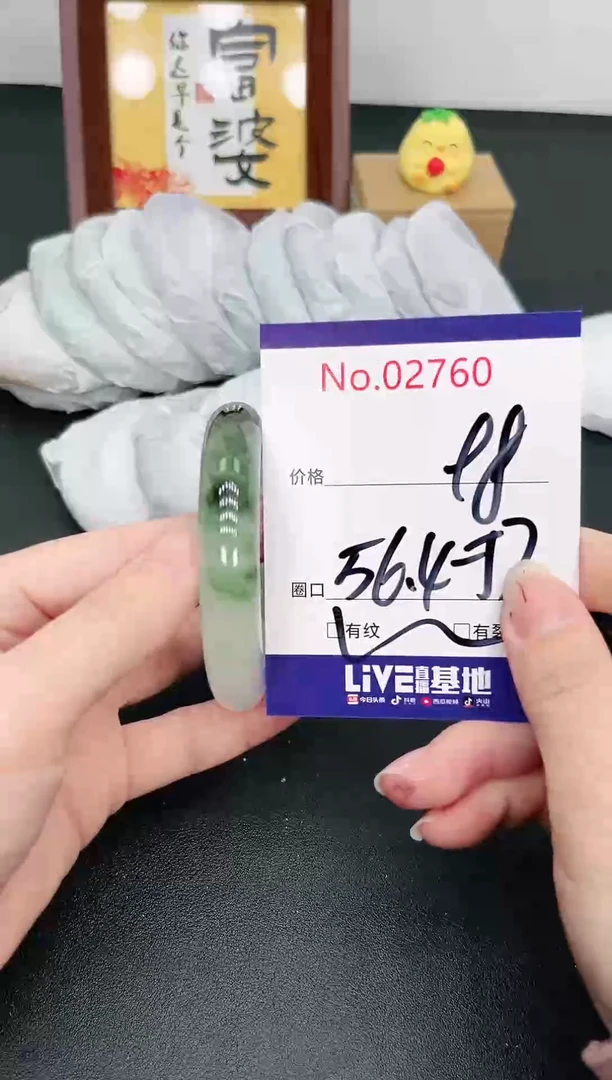 未镶嵌手镯翡翠2760