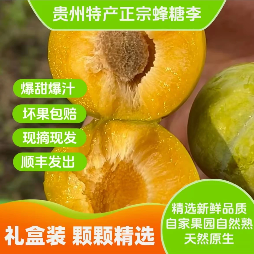 X【现货】贵州六马蜂糖李原产地 新鲜1-5斤水果脆甜脱骨多汁