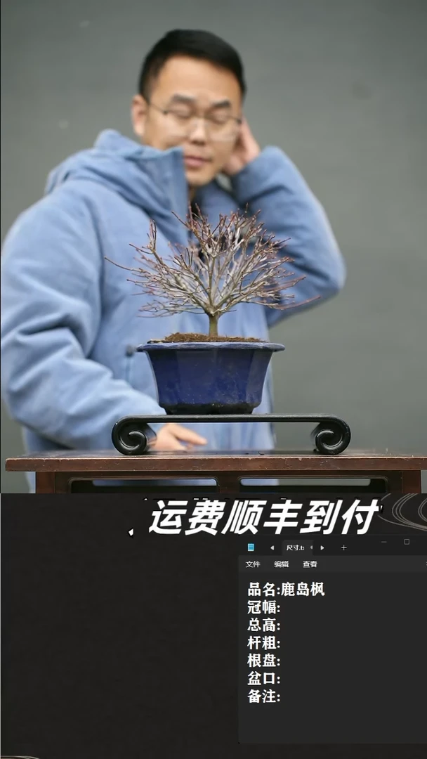 【闪购商品】21 鹿岛枫