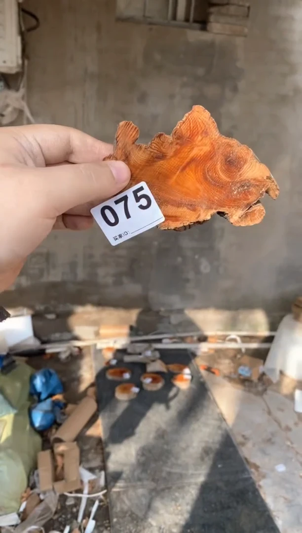 【闪购商品】柏木太行陈化崖柏（津诚林）切片