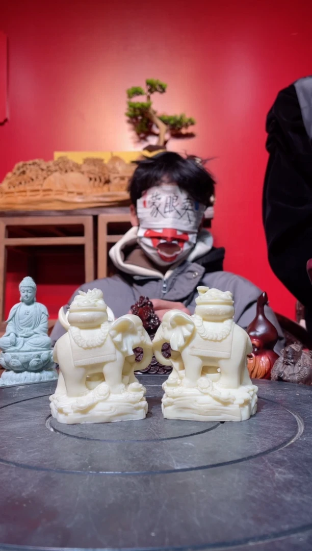 【闪购商品】菩提其他(直播推荐)     白对象