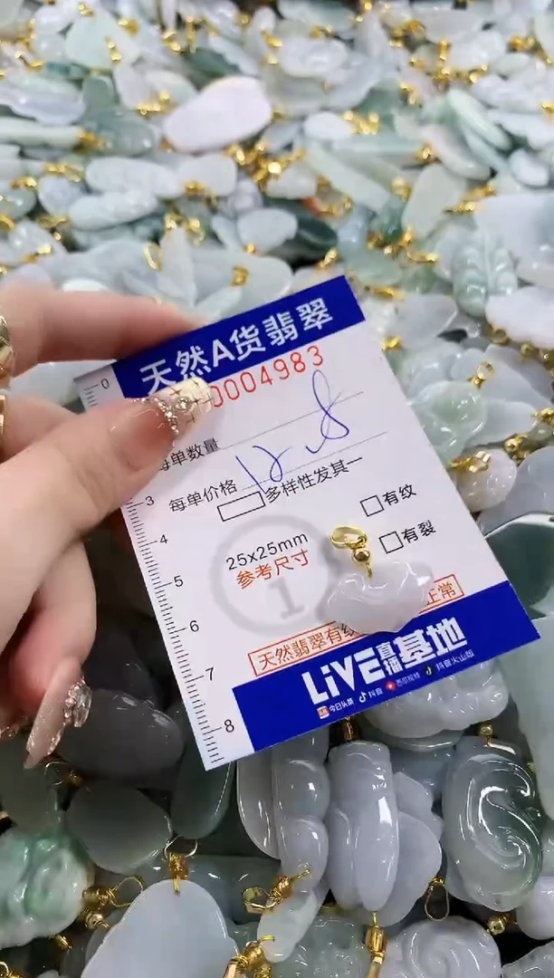 颈饰未镶嵌翡翠天然A货翡翠