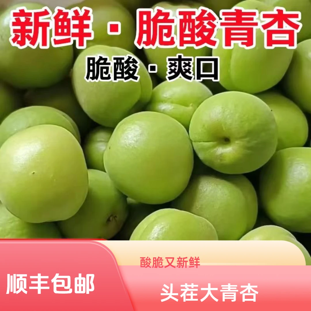 【2025头茬】酸脆大青杏子新鲜现摘当季孕妇水果1-5斤酸脆爽口多汁