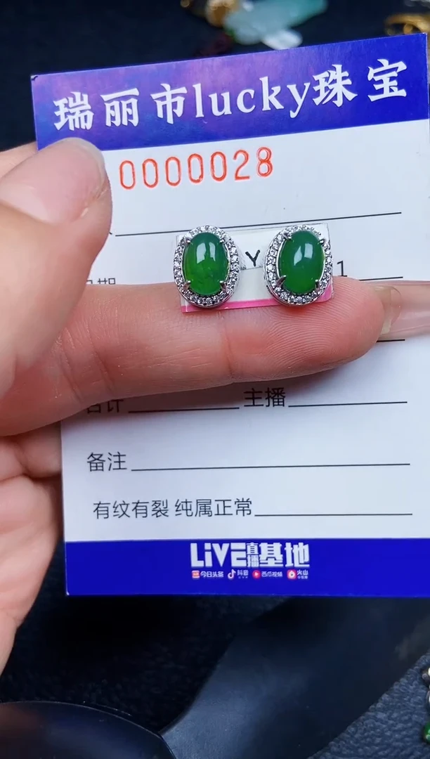 翡翠银S925镶嵌颈饰0028