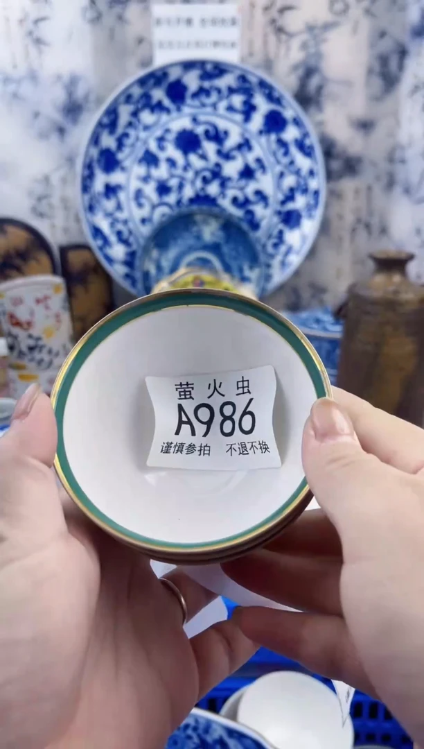 瓷片兰*AAAAAAAAAAAA986