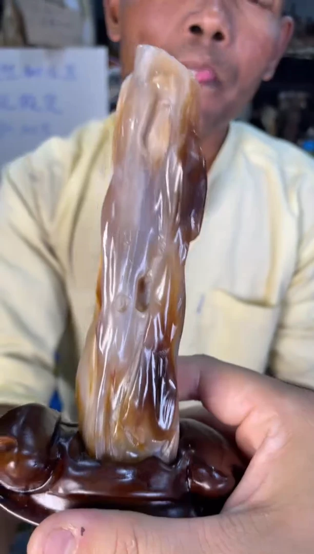 未镶嵌摆件硅化玉1