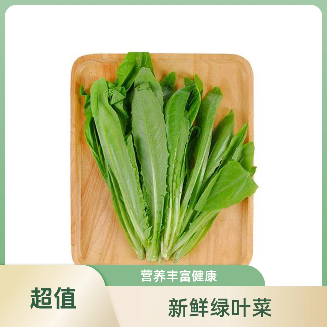 【五泉精选】脆鲜小油菜约300g