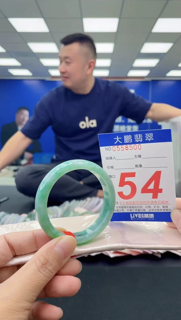 未镶嵌手镯翡翠AAAAAAAAAA