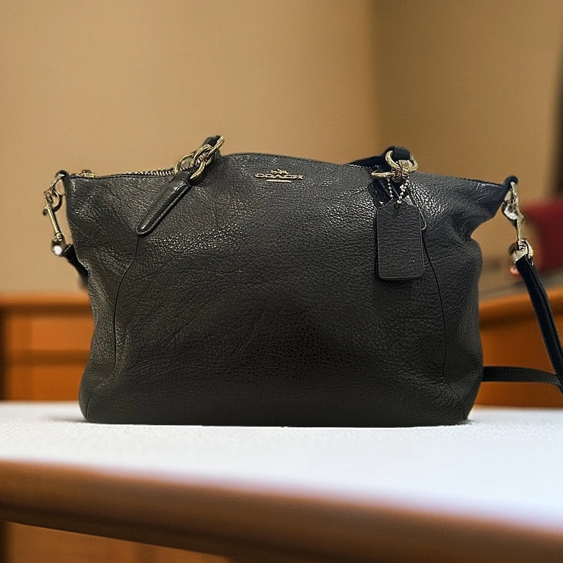 99新 COACH/蔻驰 手提单肩包1213 5939