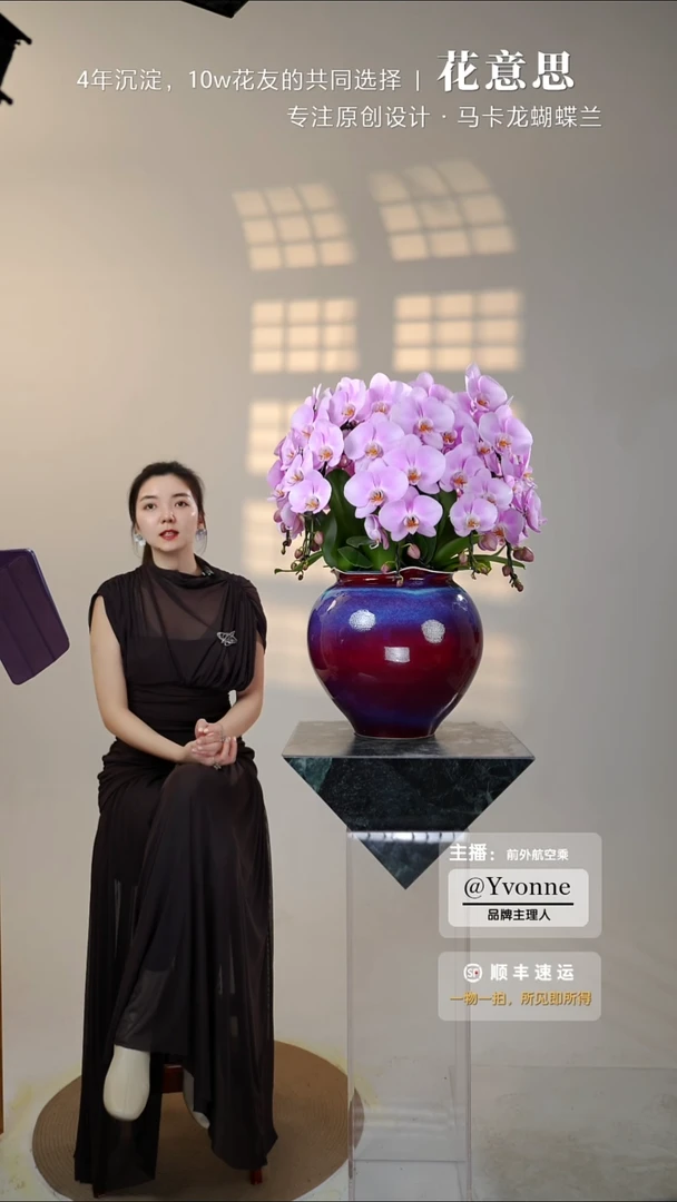 全部花朵038时来运转一物一拍蝴蝶兰艺术盆景