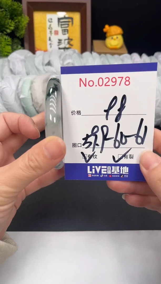 未镶嵌手镯翡翠拍下以实物为准2978