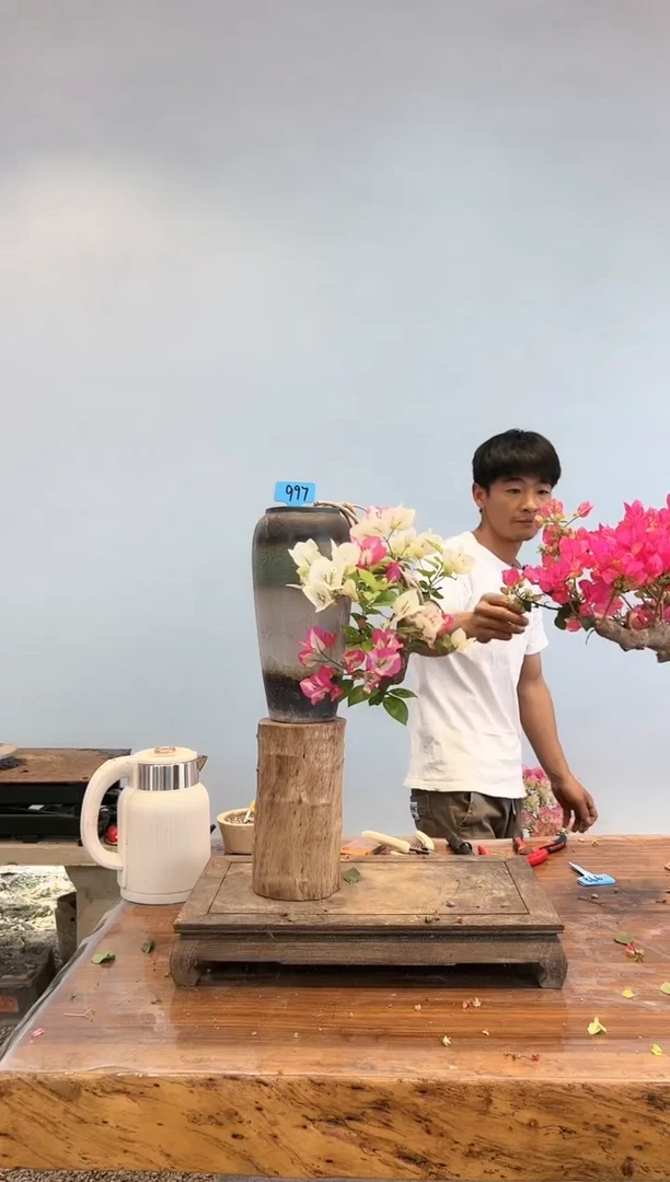 【闪购商品】aa997