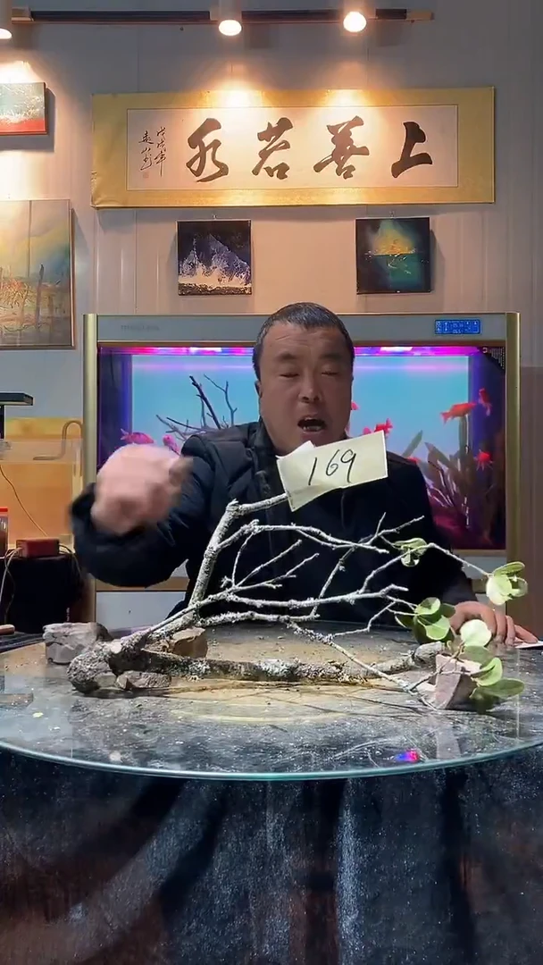 169号天然黄栎木