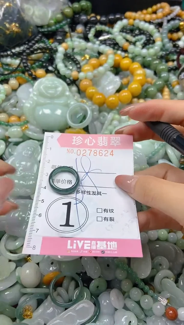 翡翠未镶嵌颈饰闪购0278624