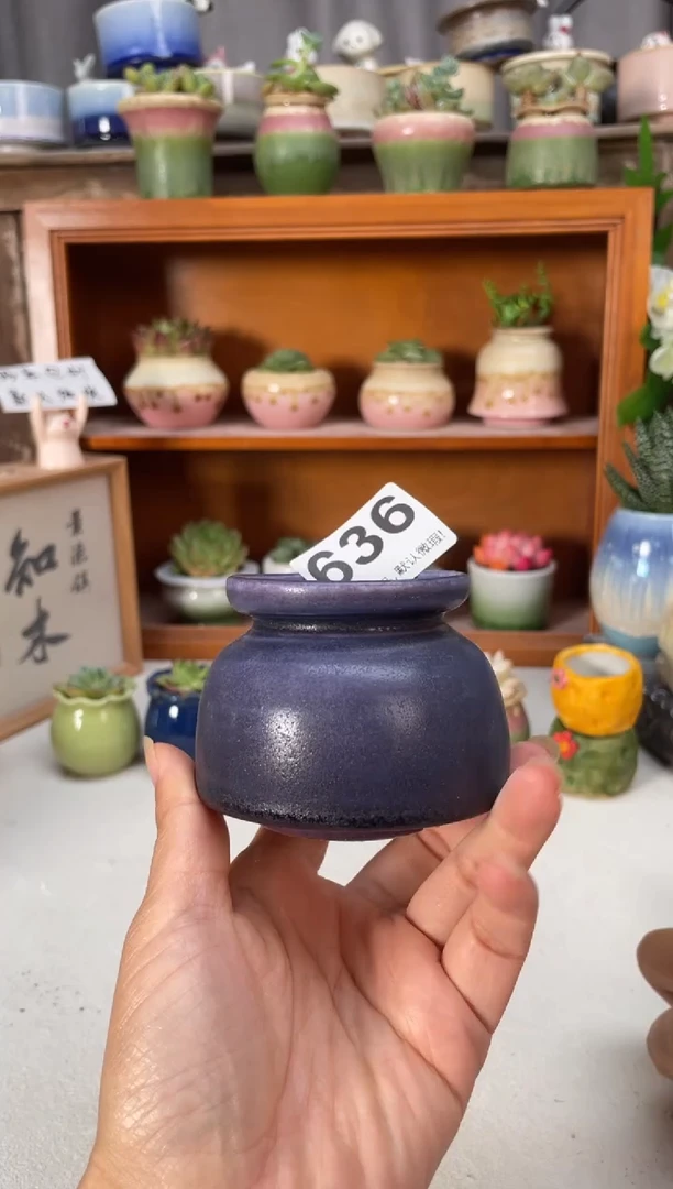 瓷片636知木小芳花盆直播编号