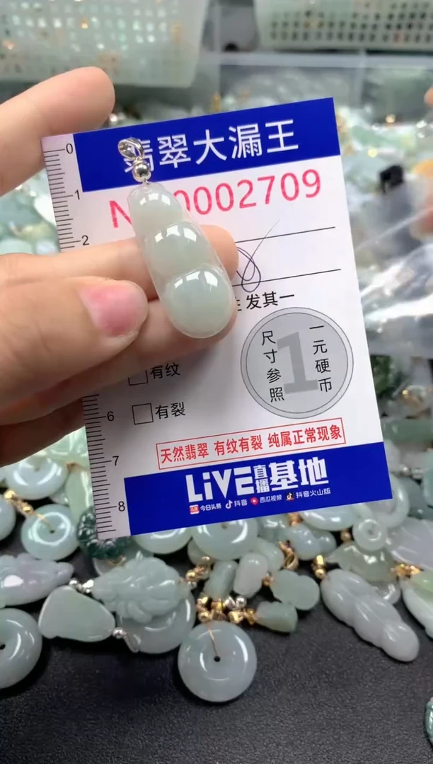 颈饰未镶嵌翡翠2709