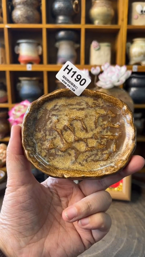 朝**夕190【多肉花盆多肉盆】