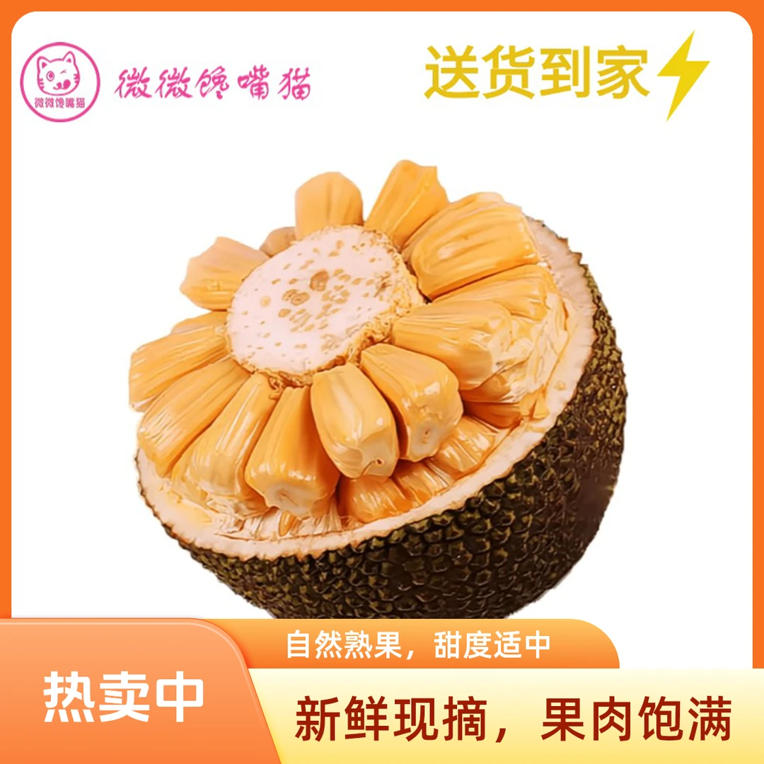越南菠萝蜜肉500g(送货上门）