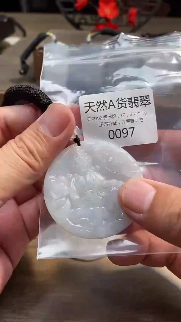 翡翠未镶嵌颈饰00020250531000097