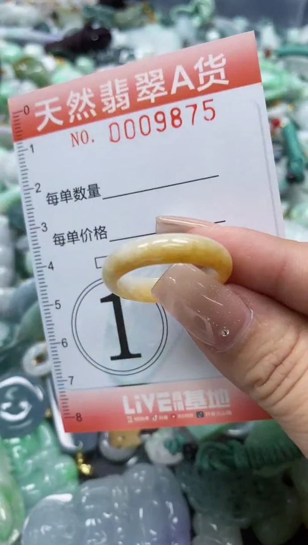 翡翠未镶嵌颈饰闪购0009875