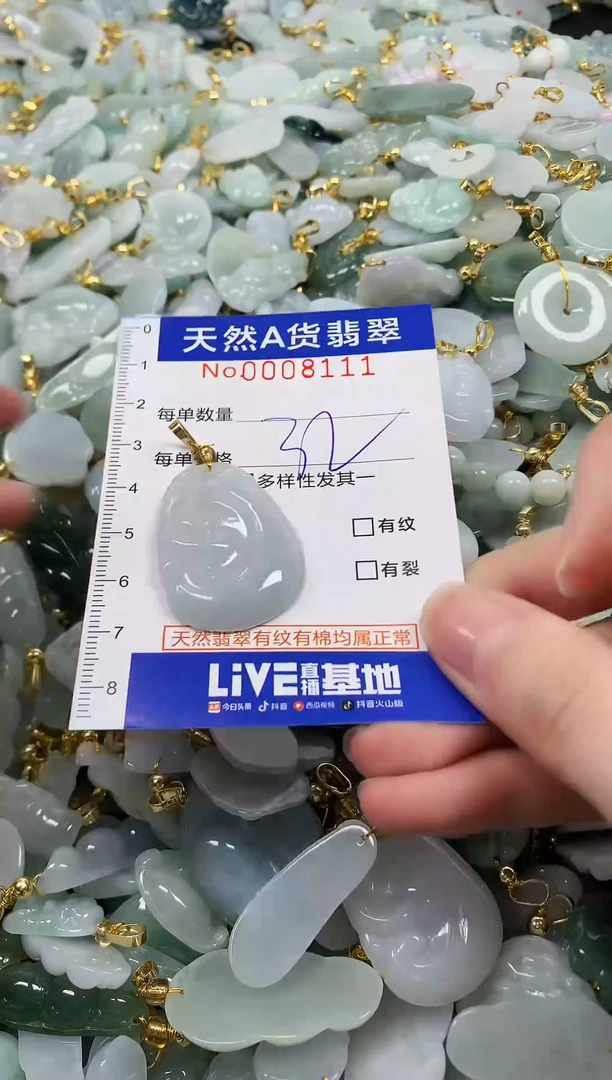 颈饰未镶嵌翡翠纯天然a货翡翠